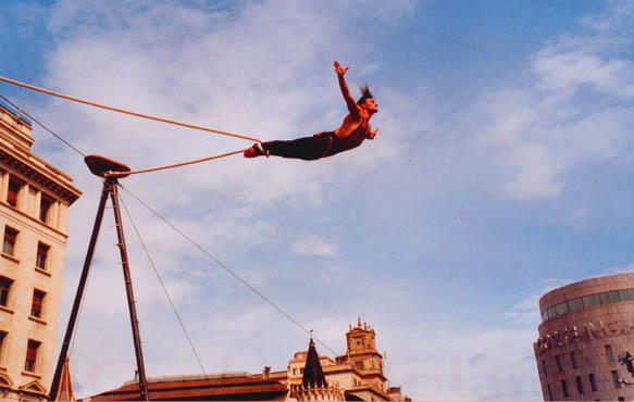 Espectacles estàtics