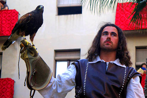 EXHIBICIÓ DE VOL D´AUS RAPAIRES